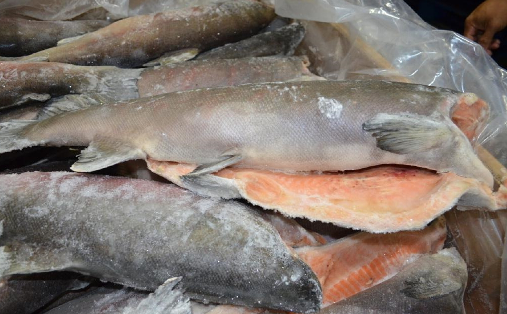 Сколько Стоит Кижуч В Магазине