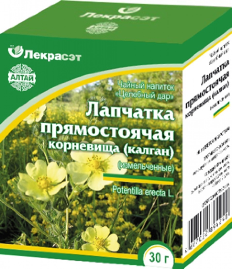 Калган Корень Где Купить В Городе Новосибирске