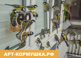 Арт Кормушка РФ Кормушки для птиц, скворечники от производителя