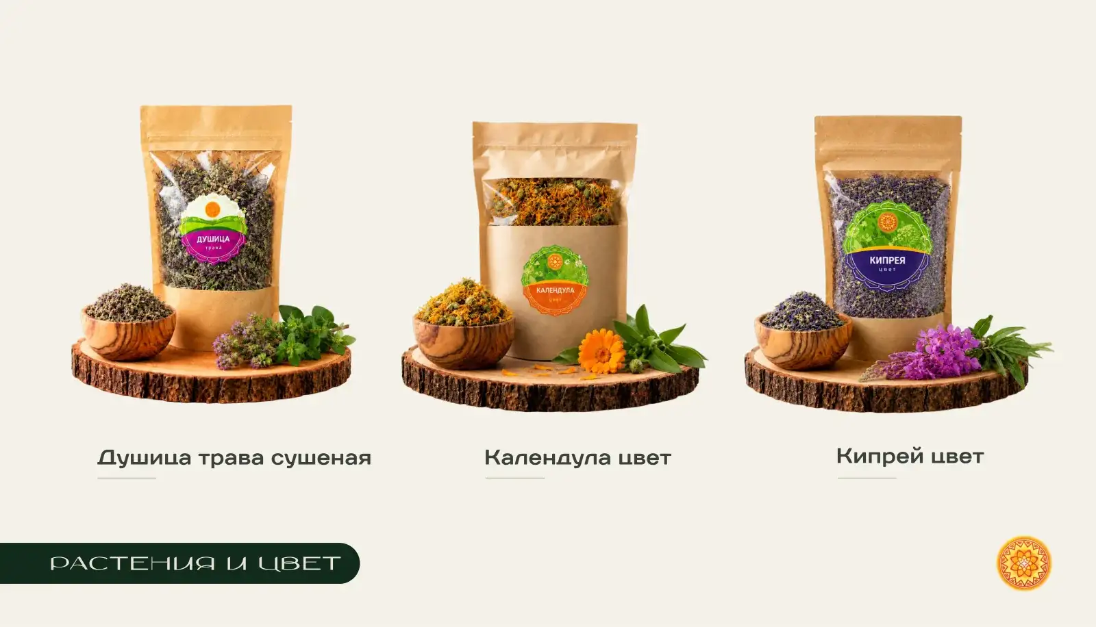 Стр 8