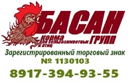 Басан Групп