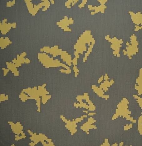 Березка желтая