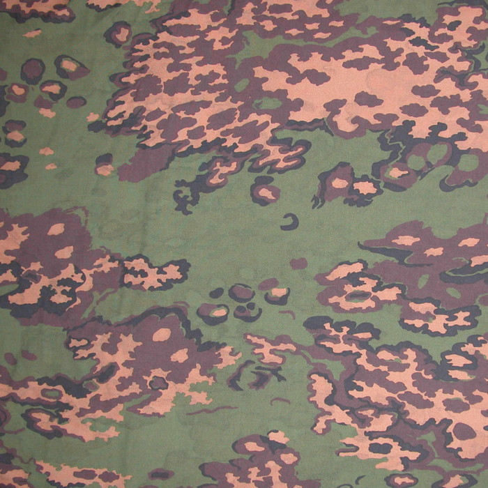 Лягушка Лето