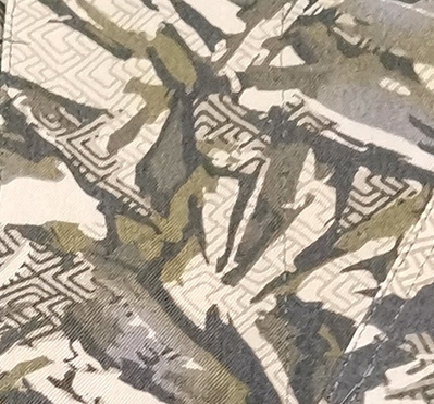 Ива
