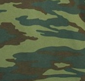 Флора