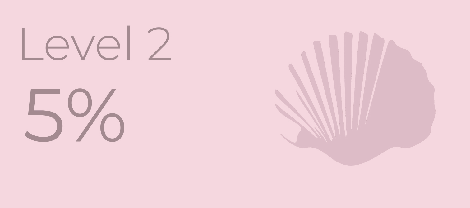 Level 2 — 5%