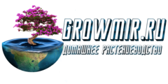 Growmir.ru