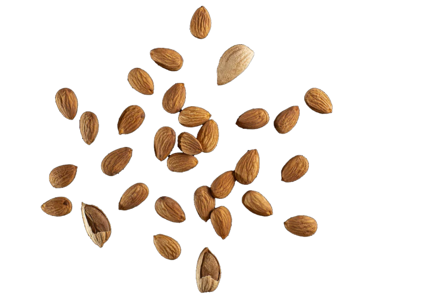 Солнечный мир