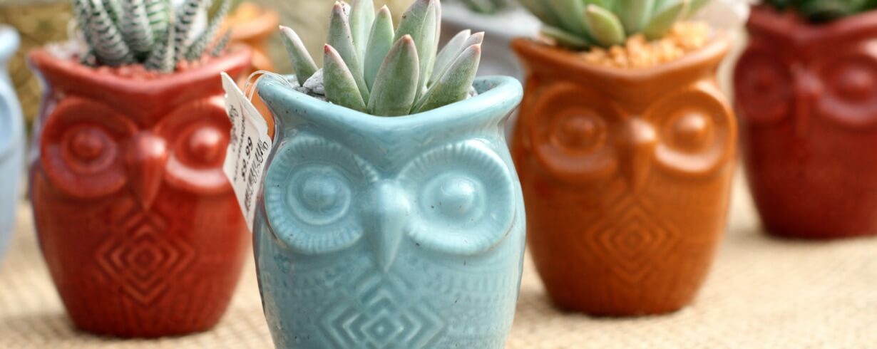 Цветочный рай. Декор