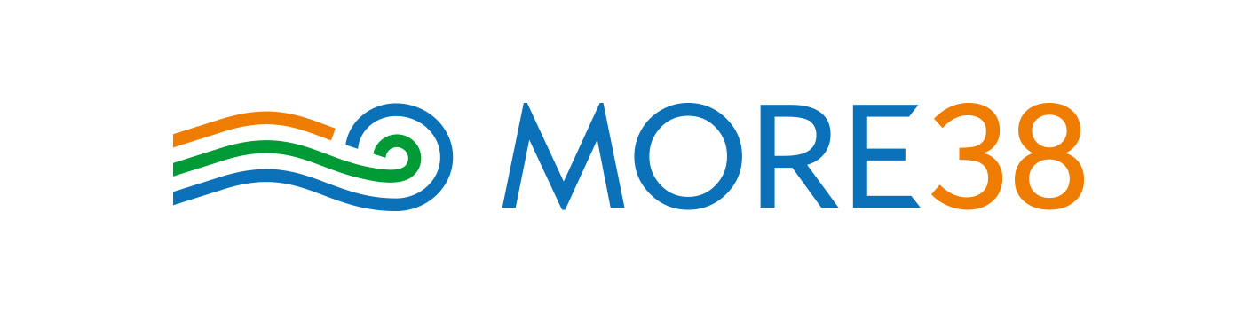 Ткани для рукоделия More38