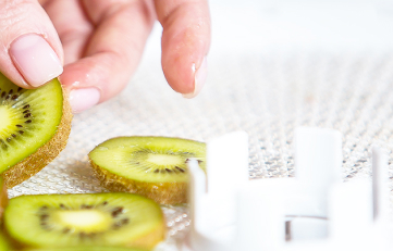 Дегидраторы — «умные» приборы для поклонников здорового питания