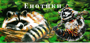 Enotiki-интернет-магазин подарков