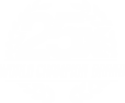 25x