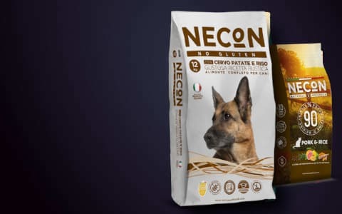 <b>NECON</b> 