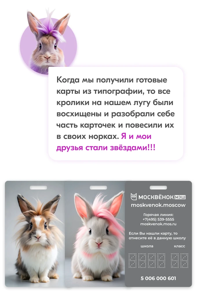 Карты Москвёнок BUNNY - Карта BUNNY может заменить читательский билет и открыть бесплатный проход в московские музеи