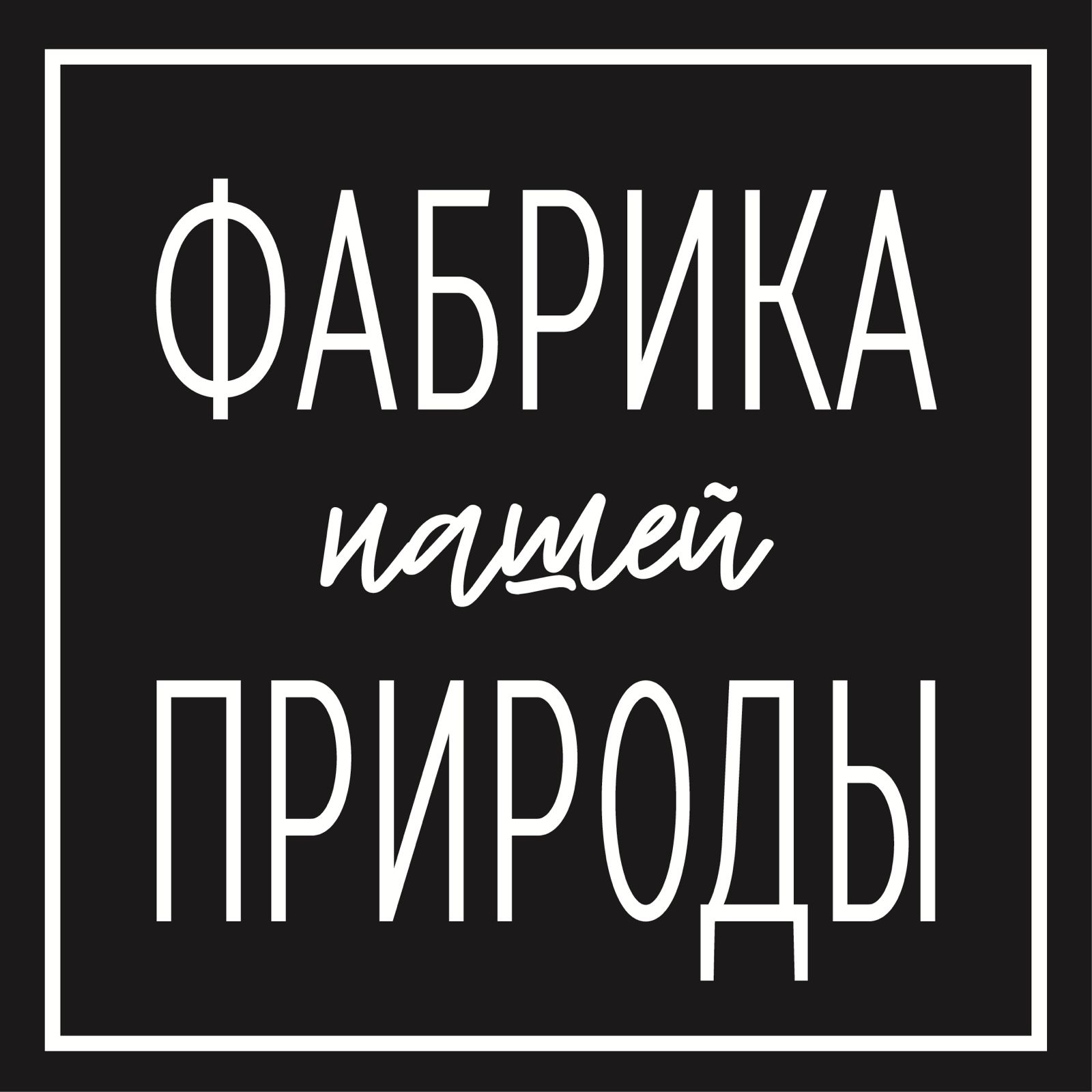 WhatsApp Image 2025-02-19 at 14.24.43_d584c48e.jpg