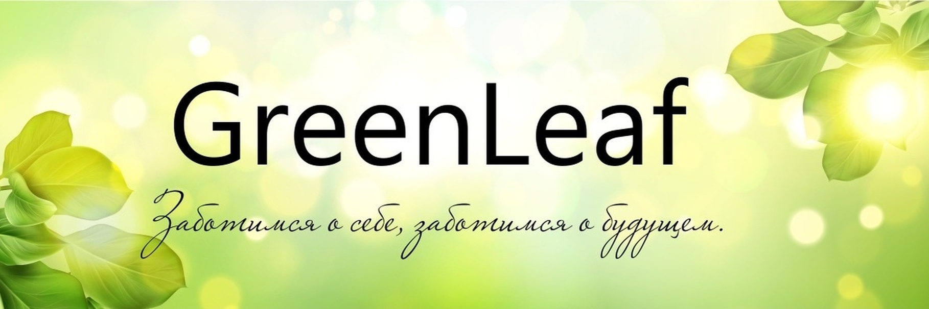 ИП - Магомедов Ш.