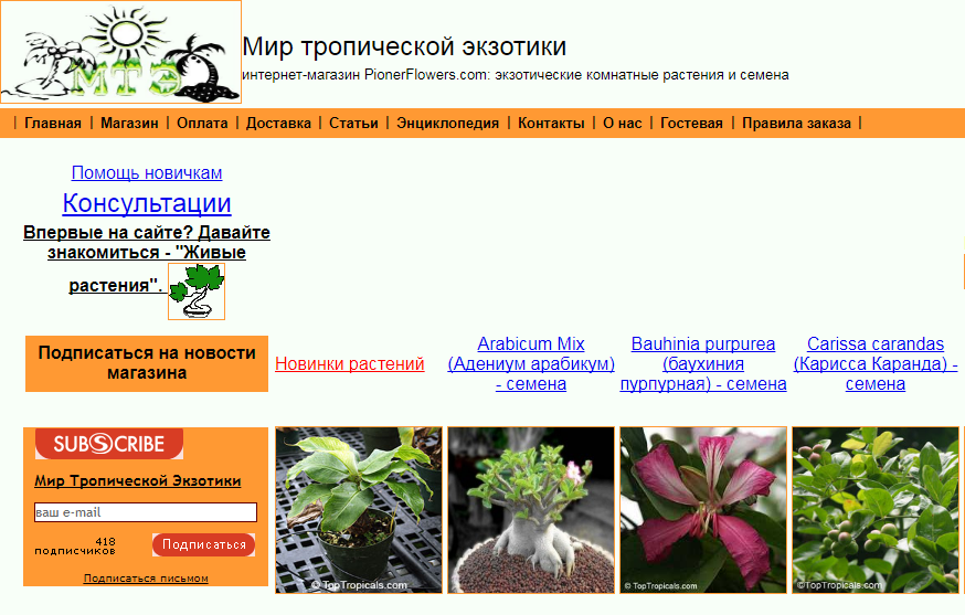 Pionerflowers.ru