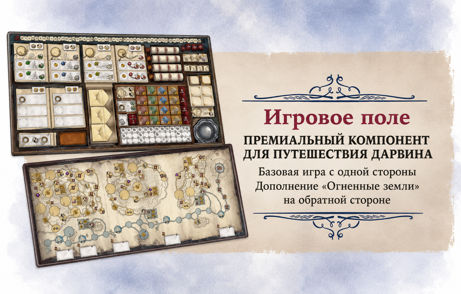 1d5d9914-cd65-4bdc-be5f-bfe6a0ad7297.png