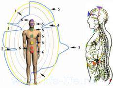 test-biopoly-aury