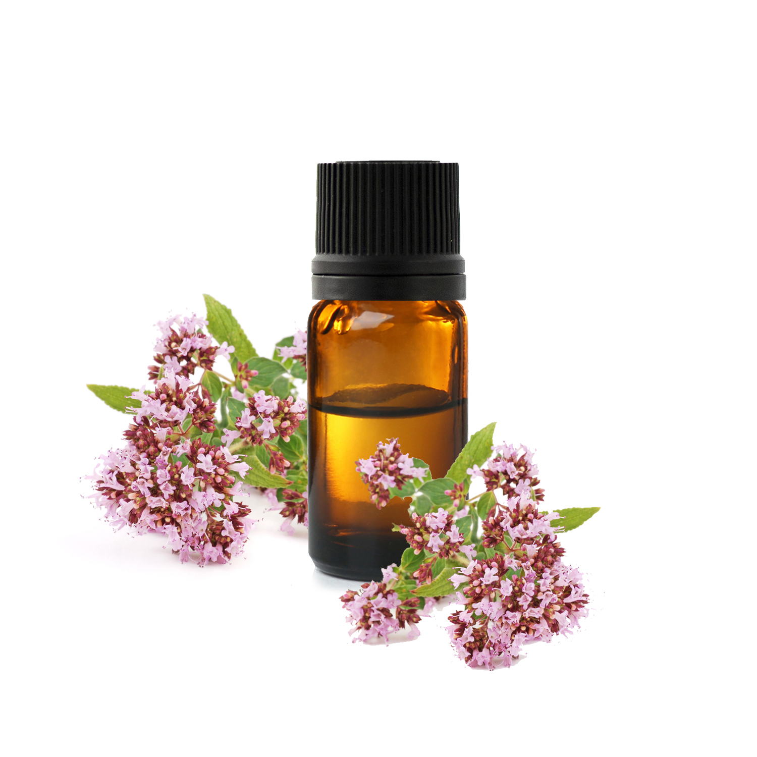 орегано из испании орегано из испании.jfif