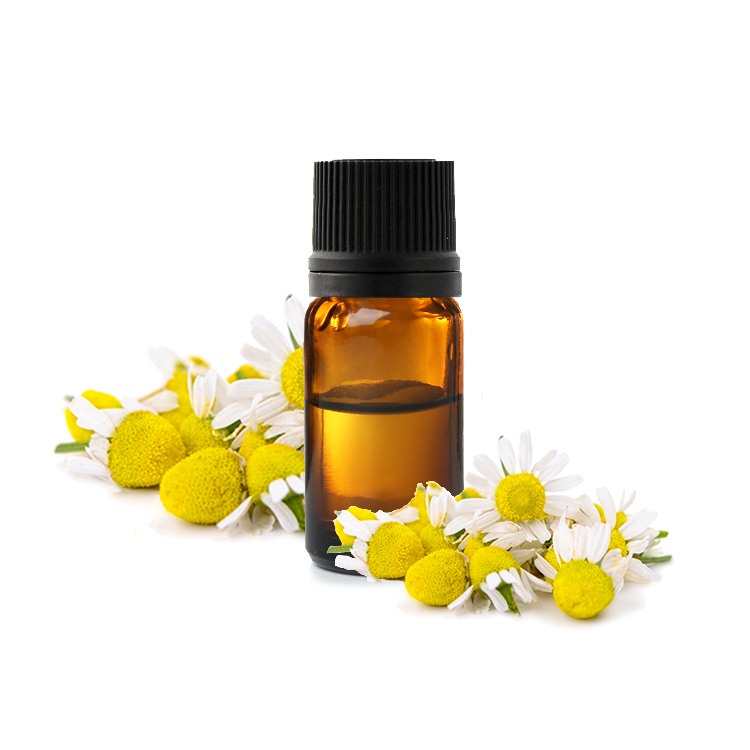 пиретрума_ромашки_1771628932136-1771628935494.jpg пиретрума_ромашки_1771628932136-1771628935494.jpg