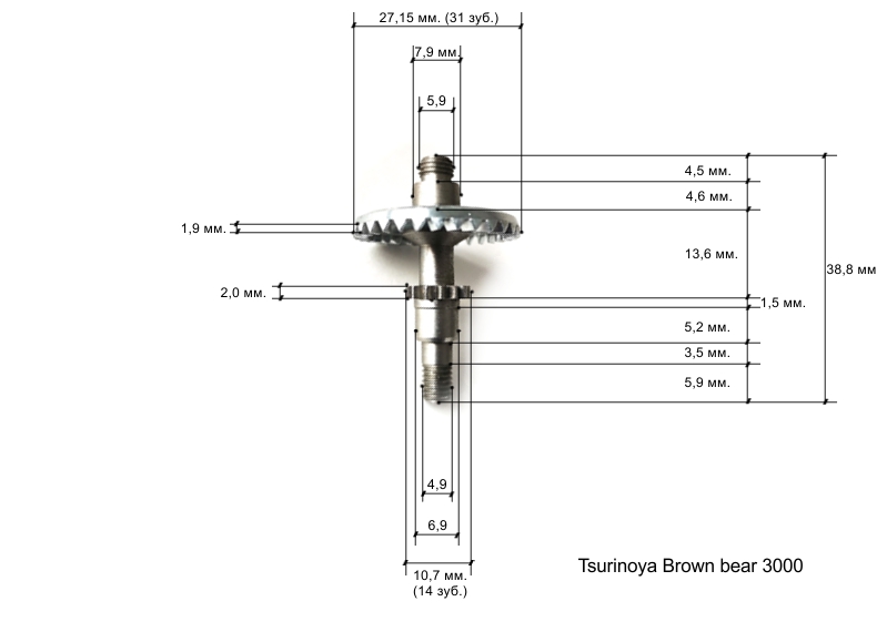 Ведущая brown bear 3000.jpg
