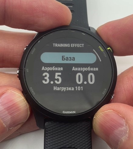Garmin-Forerunner-255-obzor-80.jpg