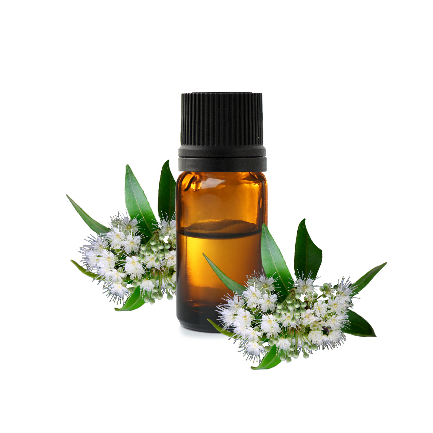 лимонного мирта.jfif