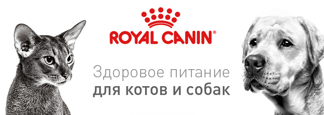 Royal Canin