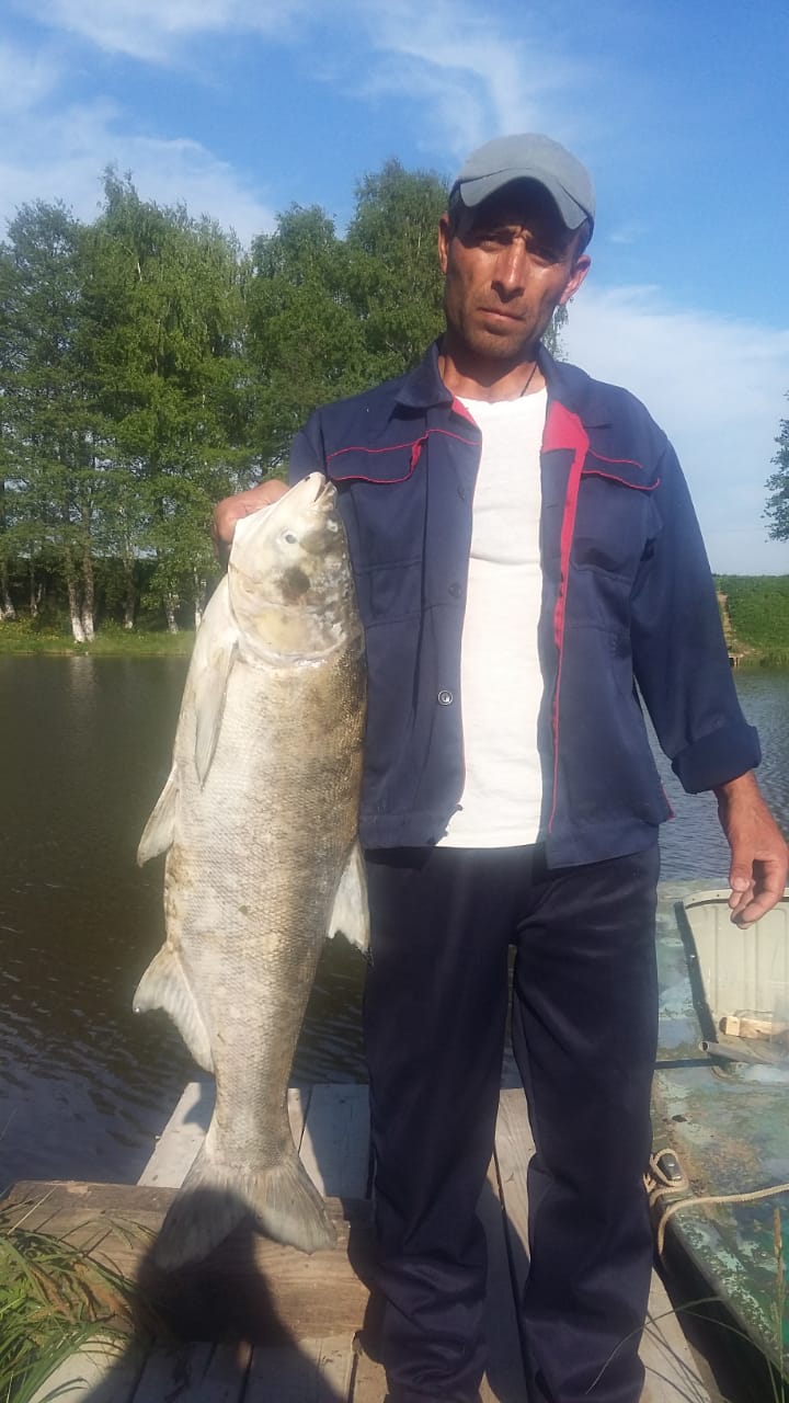 Рыбалка на реке Отра: Раменский район - лучшие места для отдыха и ловли рыбы