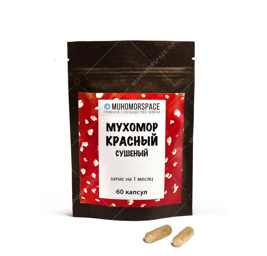 красный мухомор микродозинг в капсулах
