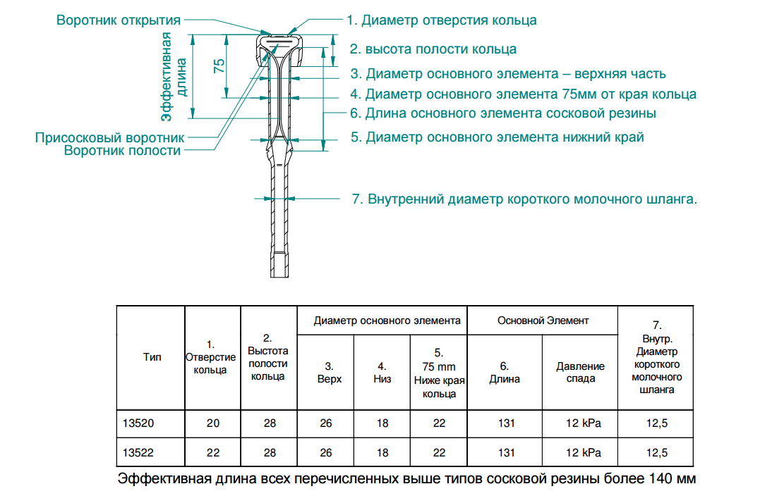 Soskovaya_rezina_SAC_13522__13520