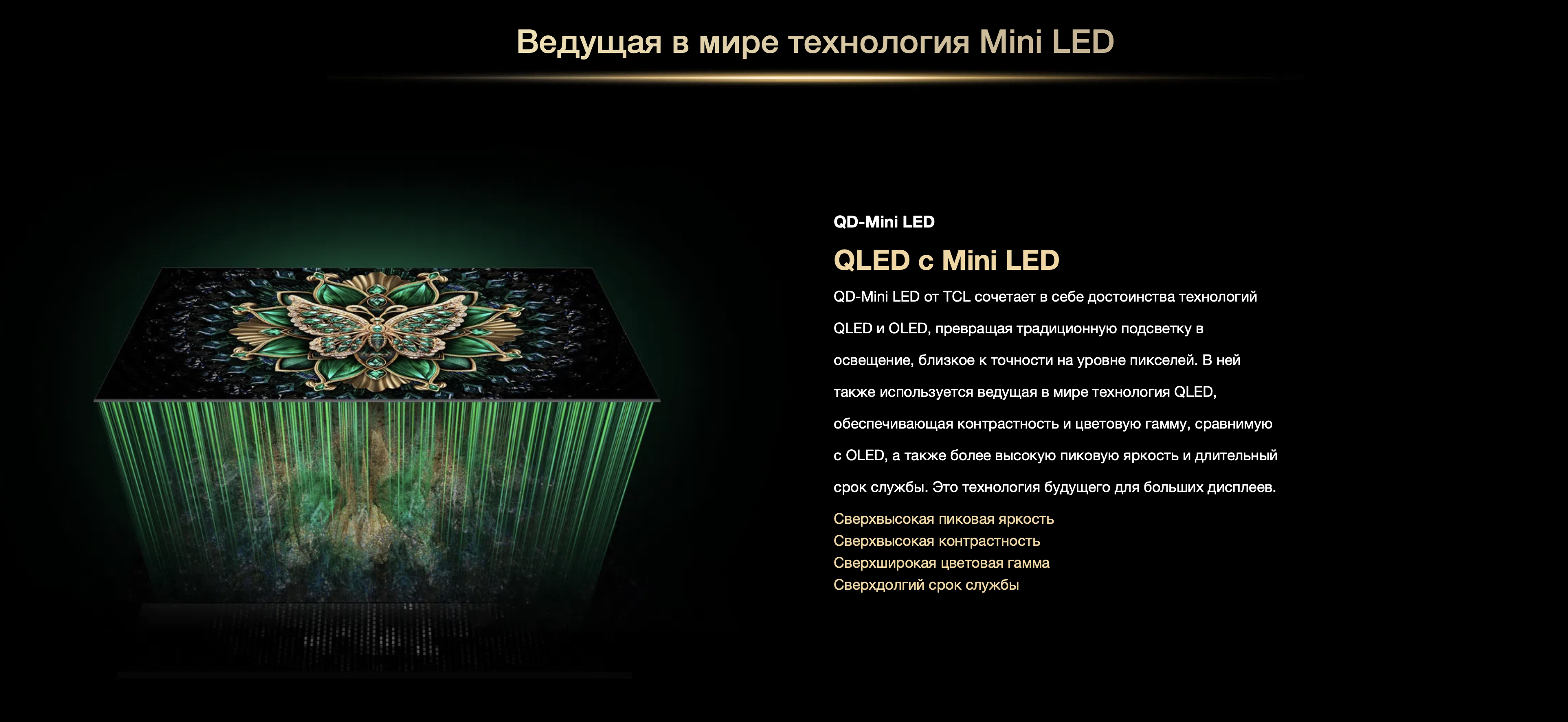 Снимок экрана 2026-02-11 в 16.53.12.png