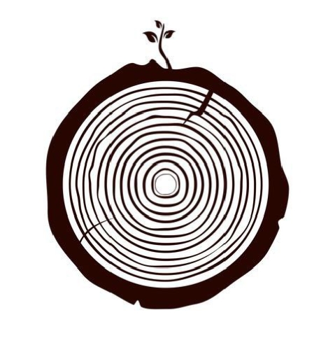 Геометрия Дерева