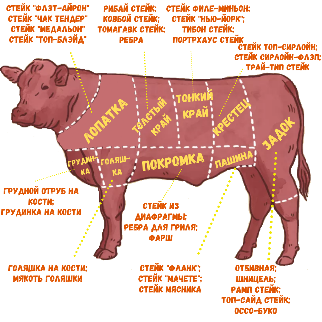 Типы стейков из говядины. www.t-grill.ru. 
