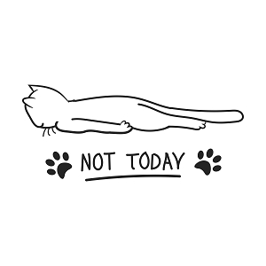 Принт с котом Not today