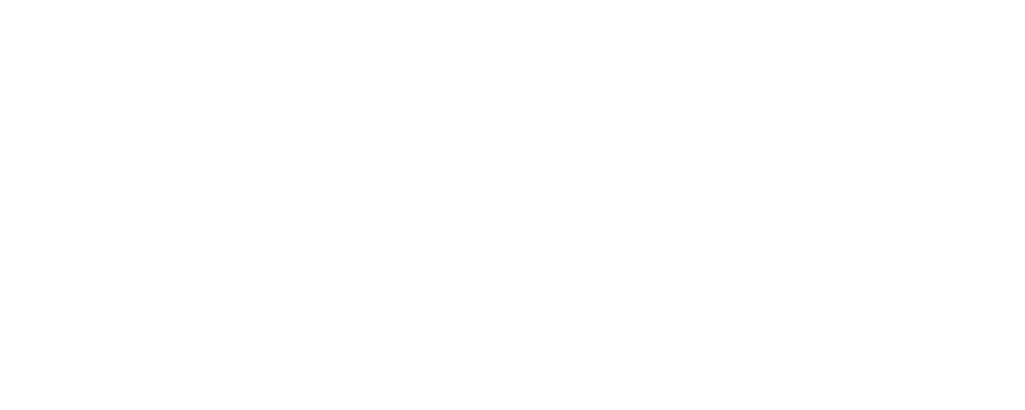 Rudiks