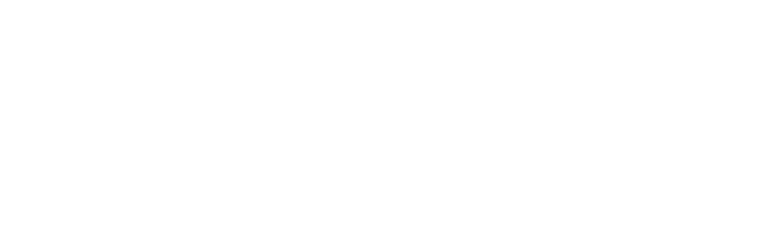 Evolve Skateboards Россия