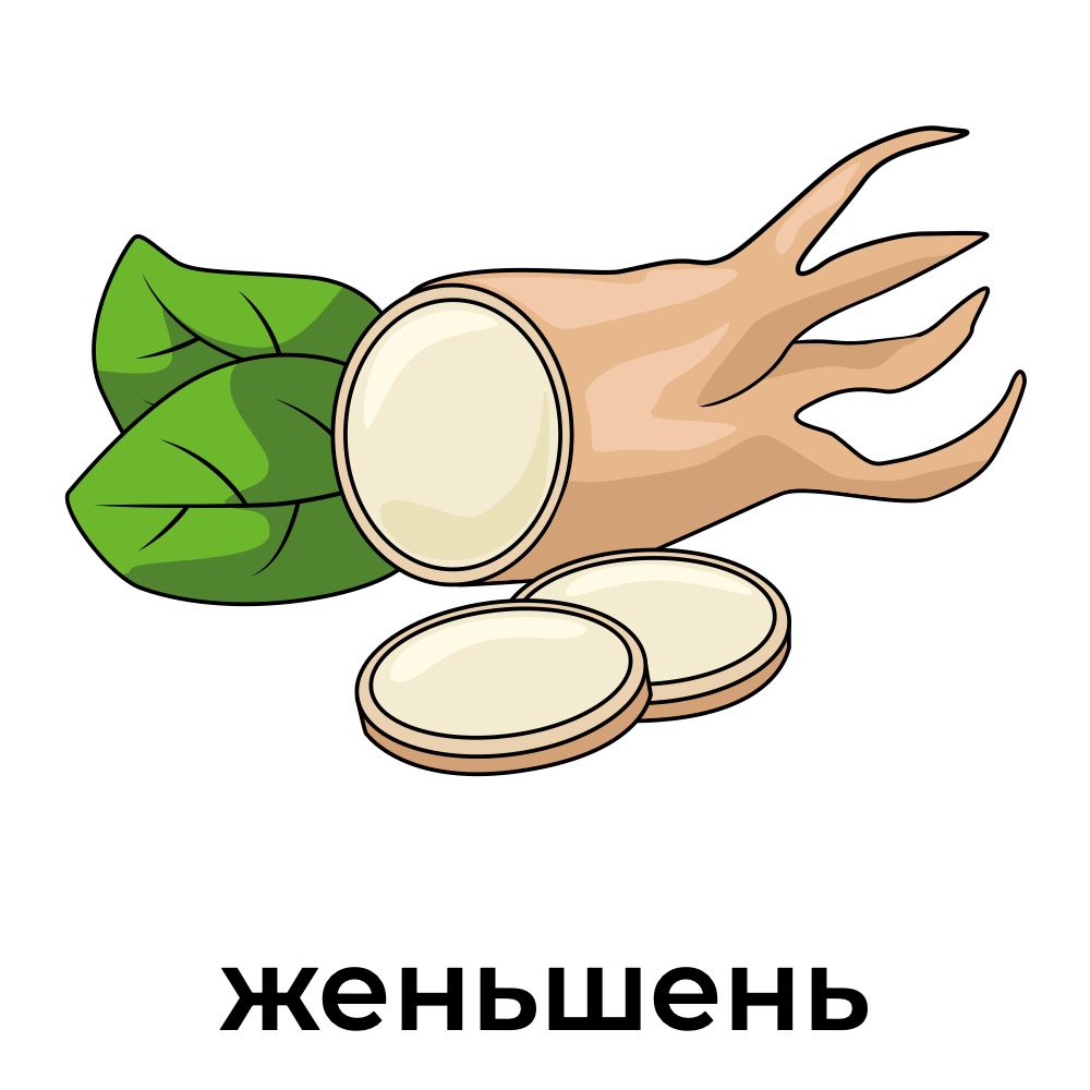 женьшень.jpg