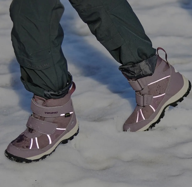 Ботинки Viking Bonna R GTX Plum