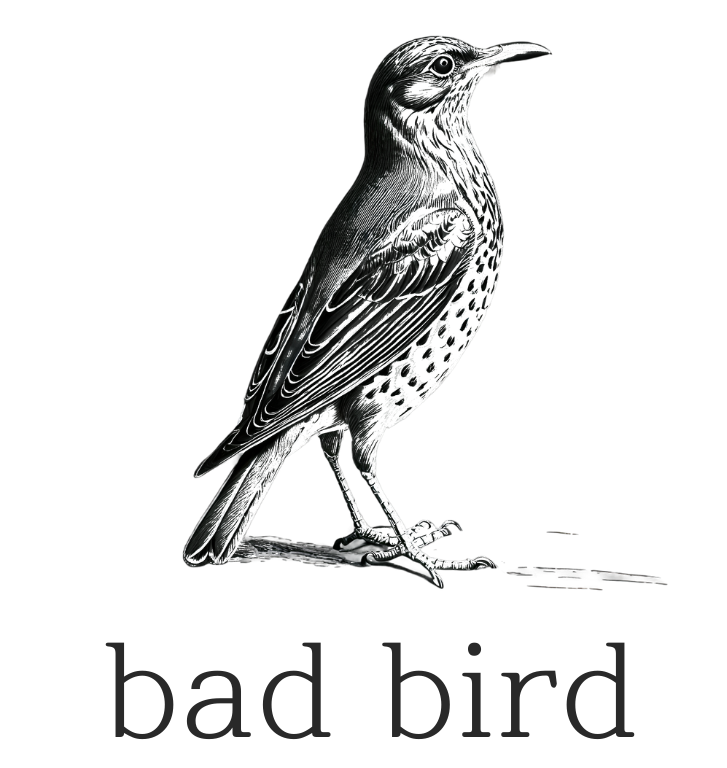 badbird.ru