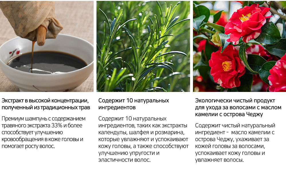 rs_dlaesoo_shждд.png