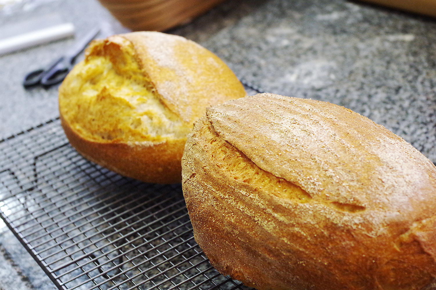 Какие бывают дефекты хлеба, как их устранять и не допускать