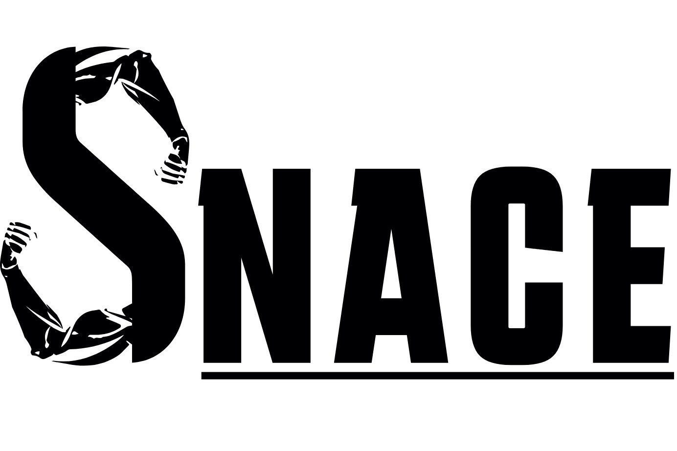 Спортивное питание Snace