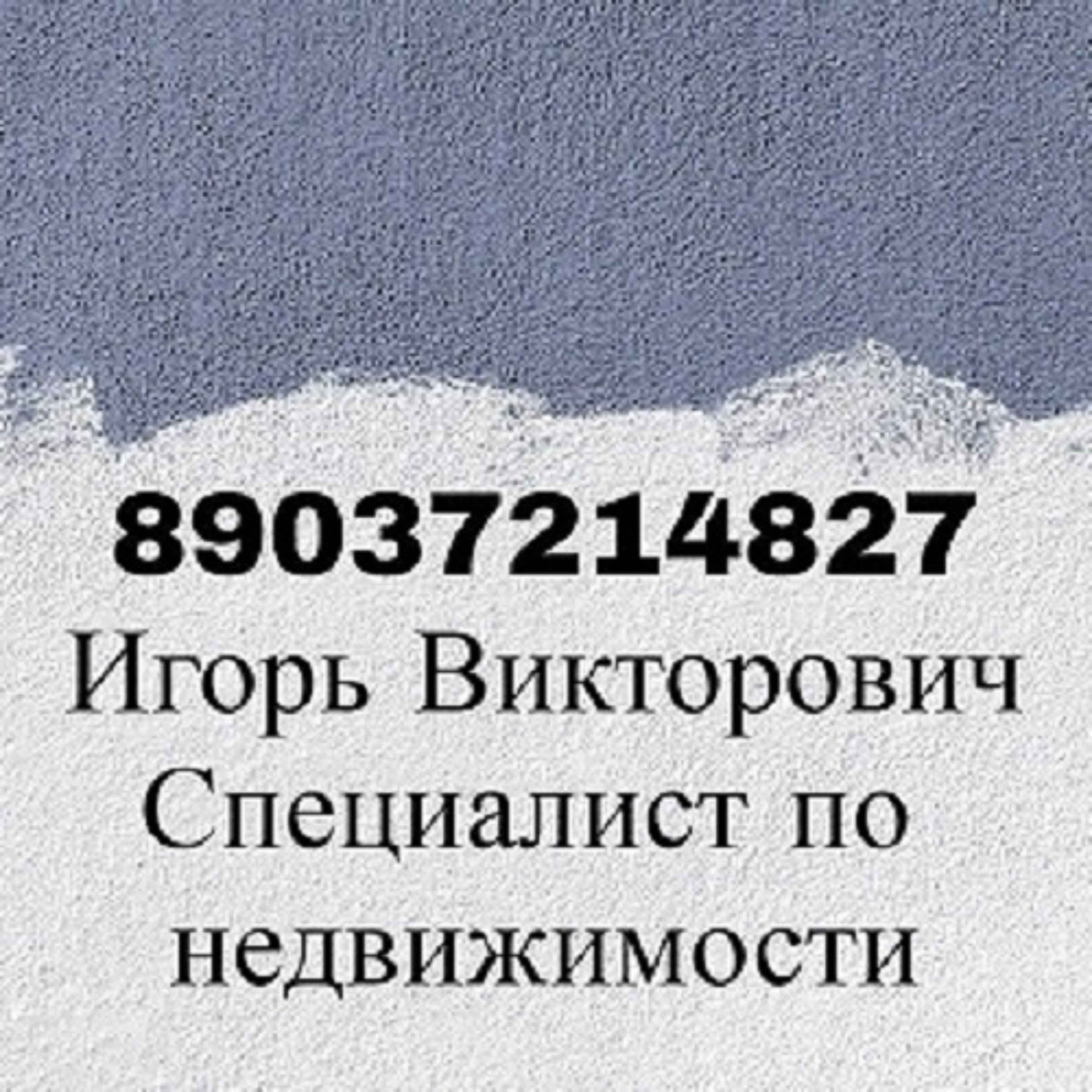ИП Цибискин Игорь Викторович