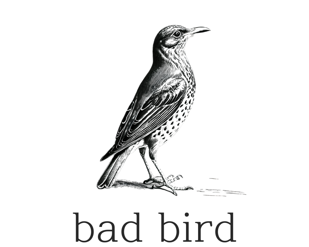 badbird.ru