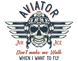 принт с самолетом Aviator