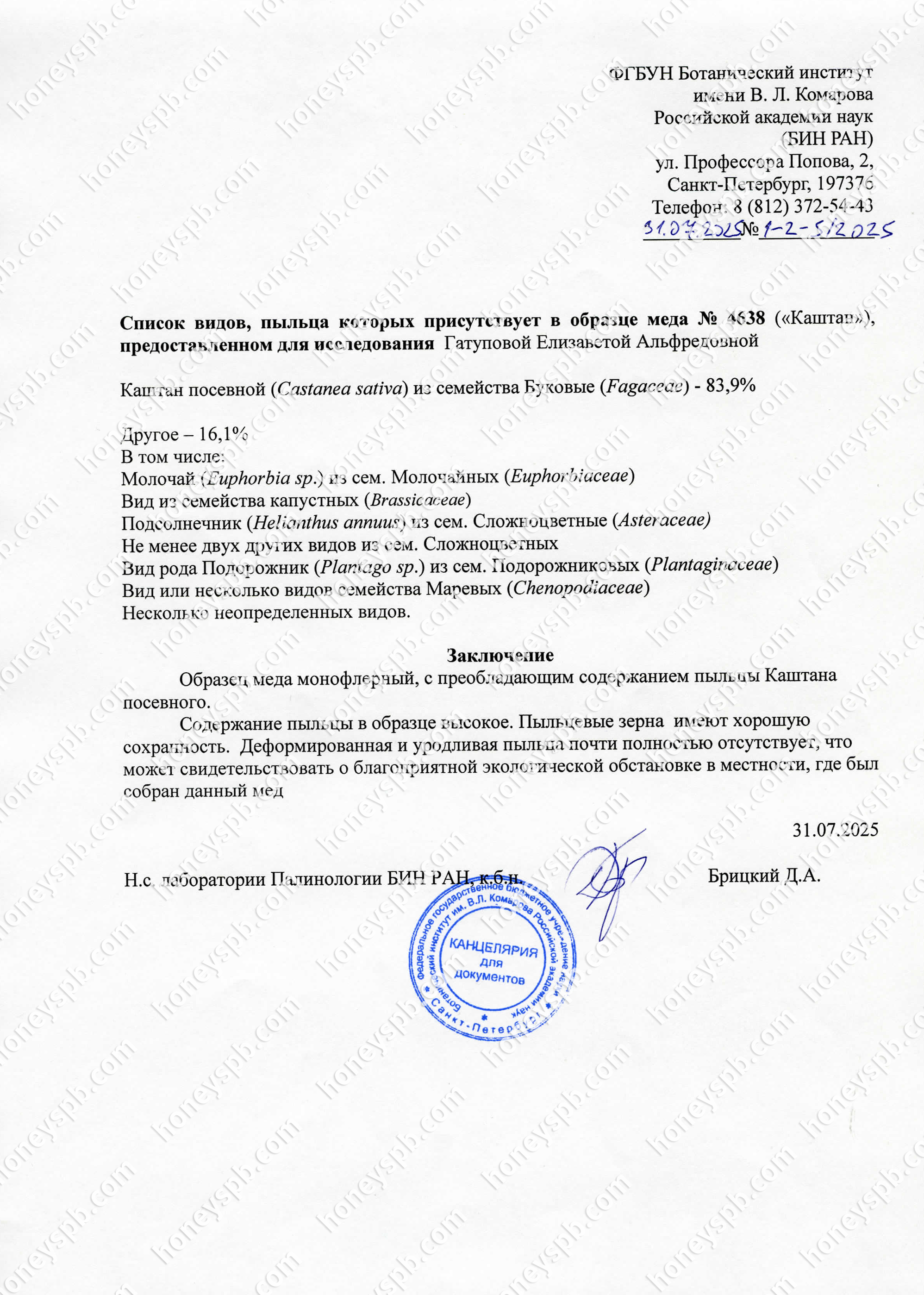 Пыльцевой каштан 2024.jpg