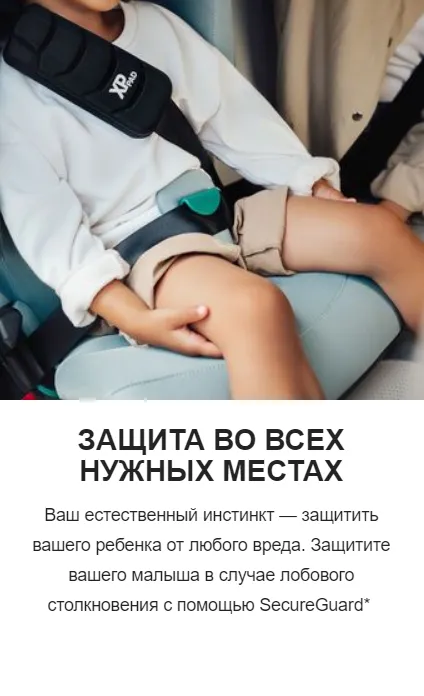 highlights4.webp